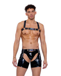 Rainbow Revival Pride Vinyl Chaps - Melted Glam LLC